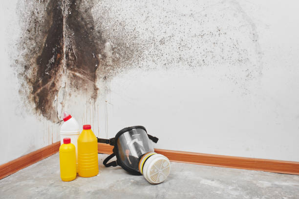 Best Mold Remediation  in Emma, NC