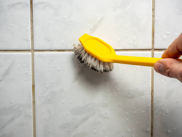 Best Fast Mold Removal  in Emma, NC