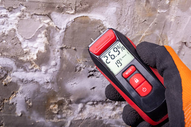 Best Mold Damage Repair  in Emma, NC