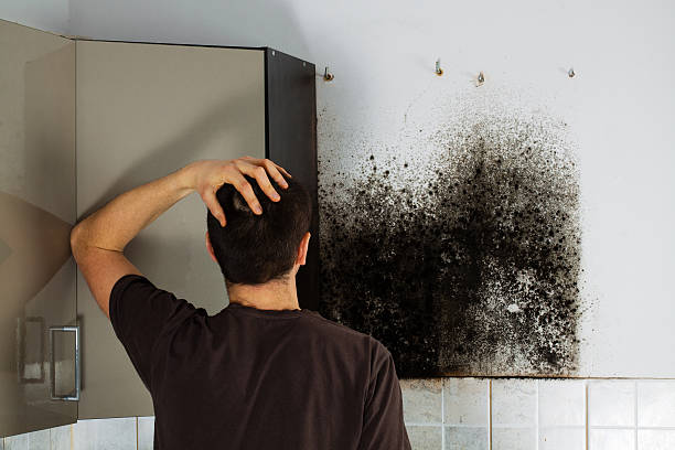 Best Commercial Mold Removal  in Emma, NC